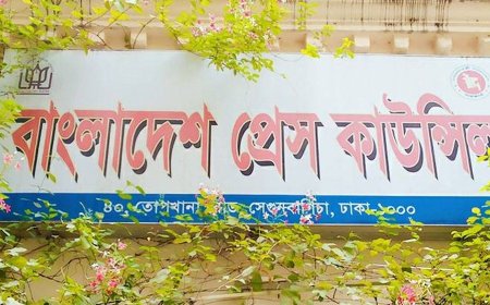 মাহফুজ আনাম-নূরুল কবীরকে রেখে প্রেস কাউন্সিলের নতুন কমিটি