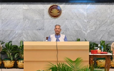 দেশের চামড়া শিল্পের সঠিক মূল্যায়ন হয়নি : প্রধান উপদেষ্টা