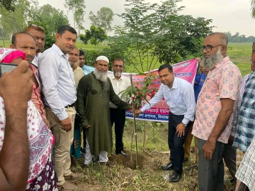 পরিবেশ রক্ষায় ব্যতিক্রমী উদ্যোগ, খানসামায় একদিনে ৪২ হাজার চারা রোপণ