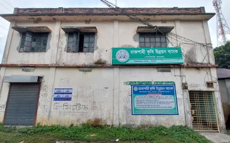 ঋণ নবায়ন না করায় মামলা: ব্যাংক ভাঙচুর ও ম্যানেজারকে পেটালো যুবদল নেতা