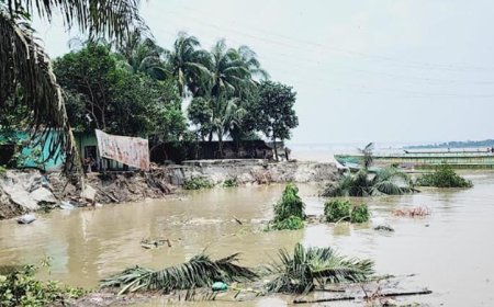জাজিরায় পদ্মা সেতু প্রকল্প এলাকার রক্ষা বাঁধে ভয়াবহ ভাঙন, বিলীন বসতবাড়ি