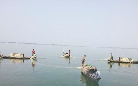 নিষেধাজ্ঞা শেষে মধ্যরাত থেকে কাপ্তাই হ্রদে মাছ ধরার উৎসব