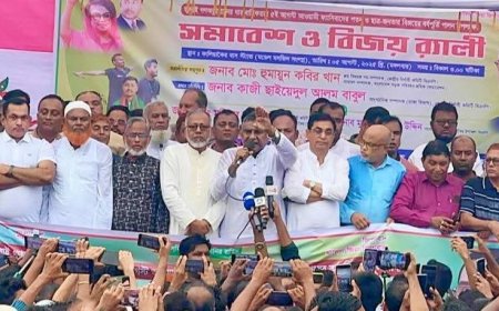 আওয়ামী ফ্যাসিবাদ পতনের বর্ষপূর্তি উপলক্ষে কালিয়াকৈরে বিজয় সমাবেশ ও র‍্যালি অনুষ্ঠিত