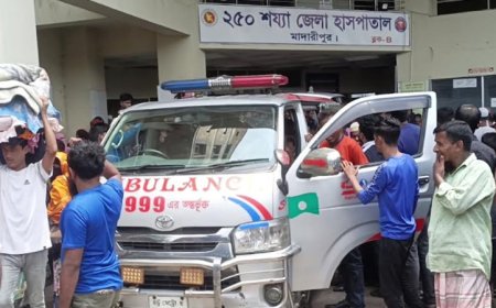 মাদারীপুরে সাংবাদিকসহ তিন ভাইকে কুপিয়ে জখম