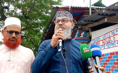 ১৫ বছর আওয়ামী লীগ রাজাকার রাজাকার ব্যবসা করেছে : সাঈদী পুত্র মাসুদ