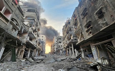 গাজা দখলের ইসরায়েলি পরিকল্পনার নিন্দা বিশ্বজুড়ে