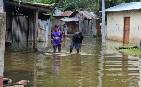 রাঙামাটিতে পানিবন্দি ১৮ হাজার মানুষ, খাবার ও বিশুদ্ধ পানির সংকট