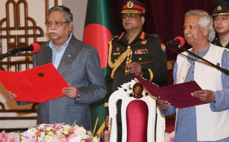 অন্তর্বর্তী সরকারের এক বছর, সফলতা ও ব্যর্থতা