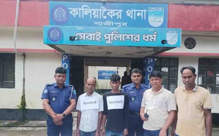 কালিয়াকৈরে প্রাইভেট কারসহ ২ ছিনতাইকারী আটক