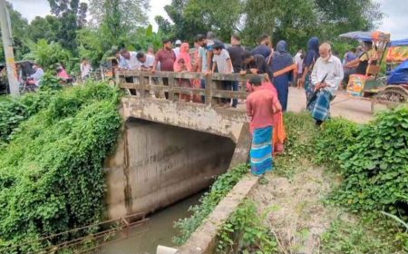 গাজীপুরে রেলব্রিজের নিচ থেকে নারীর ভাসমান মরদেহ উদ্ধার