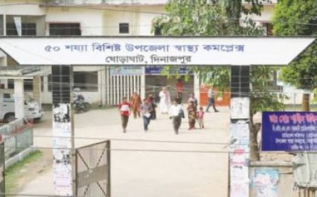 ঘোড়াঘাট উপজেলা স্বাস্থ্য কমপ্লেক্সে খাদ্য সরবরাহ না করেই অর্থ লোপাট