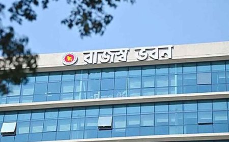 ৫ শ্রেণির করদাতাদের অনলাইন রিটার্ন দাখিল শিথিল করেছে এনবিআর