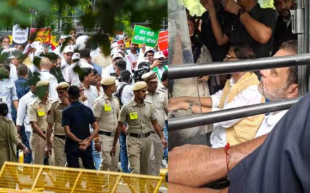 রাহুল গান্ধীসহ বিরোধী এমপিদের আটকের কারণ জানালো দিল্লি পুলিশ