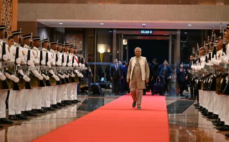 মালয়েশিয়ায় পৌঁছেছেন প্রধান উপদেষ্টা, পেলেন লালগালিচা সংবর্ধনা