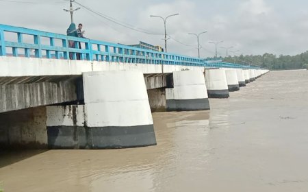 নীলফামারীর ডালিয়া পয়েন্টে তিস্তার পানি বিপৎসীমার ৭ সে.মি. ওপরে