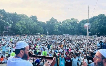 বিএনপির জন্য করুণা হয় : মুফতি ফয়জুল করীম