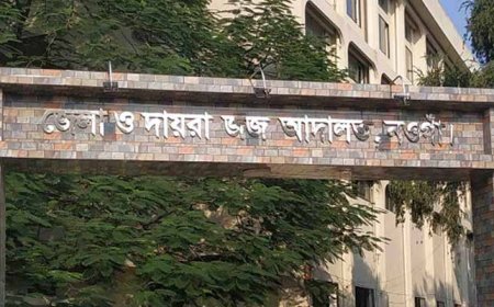 টিভি দেখানোর প্রলোভনে ২ শিশুকে ধর্ষণচেষ্টা, ১০ বছর কারাদণ্ড