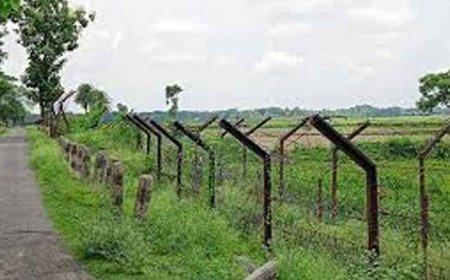 পঞ্চগড় ও লালমনিরহাট সীমান্ত দিয়ে ৩২ জনকে পুশ ইন