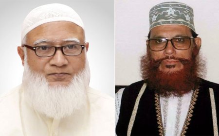 চিকিৎসায় অবহেলার কারণেই মৃত্যু হয় সাঈদীর : দাবি জামায়াত আমীরের