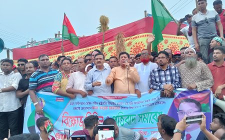 তারেক রহমানের নেতৃত্বে দিল্লি ও পিন্ডির হাড় ভেঙে দেওয়া হবে : ভিপি শামসুর