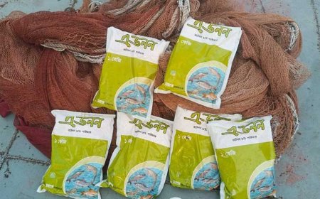 ৬ প্যাকেট কীটনাশকসহ সুন্দরবনের খাল থেকে নৌকা জব্দ