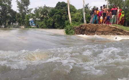 পাহাড়ি ঢল ও বৃষ্টির কারণে যমুনায় পানি বৃদ্ধি অব্যাহত
