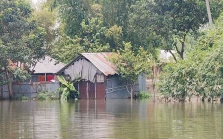 তিস্তায় পানি বৃদ্ধি অব্যাহত, পানিবন্দি ২০ হাজার পরিবার