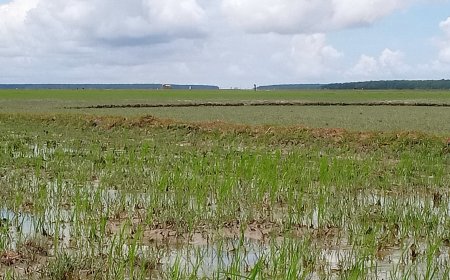 চর দখলে মরিয়া প্রভাবশালীরা, প্রশাসনের হস্তক্ষেপ চান স্থানীয়রা