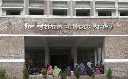 দায়িত্ব ফেলে বিচারকের ভ্রমণ, সুপ্রিম কোর্টে অভিযোগ আইনজীবীর