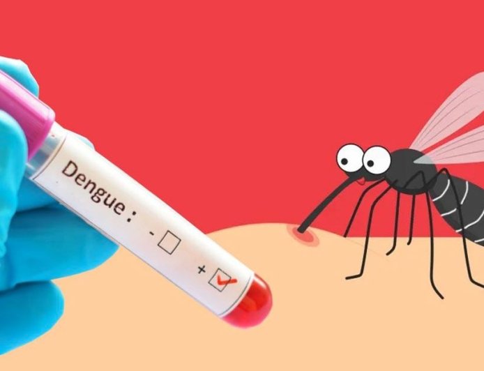 ডেঙ্গু আক্রান্ত হয়ে হাসপাতালে ভর্তি আরও ১৯০ জন