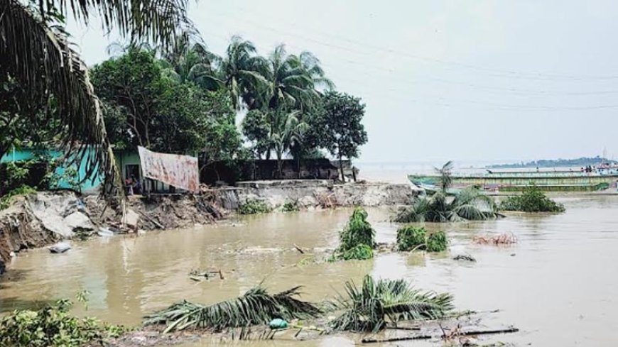 জাজিরায় পদ্মা সেতু প্রকল্প এলাকার রক্ষা বাঁধে ভয়াবহ ভাঙন, বিলীন বসতবাড়ি