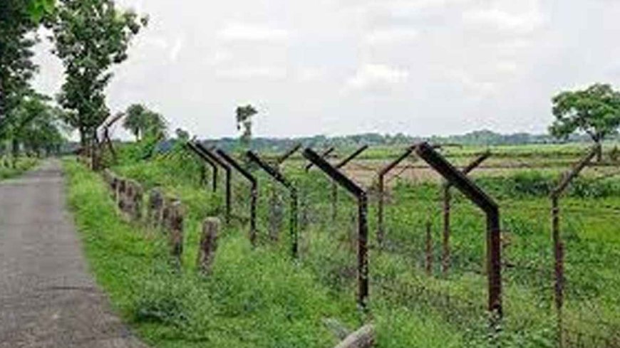 পঞ্চগড় ও লালমনিরহাট সীমান্ত দিয়ে ৩২ জনকে পুশ ইন