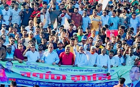 কালিয়াকৈরে বিএনপির ৪৭তম প্রতিষ্ঠাবার্ষিকী পালিত