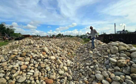 সিলেটে লুট হওয়া জব্দকৃত ভাঙা পাথর উঠছে নিলামে