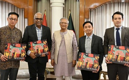 রোহিঙ্গা সংকট নিয়ে নতুন সম্মেলনের প্রস্তাব এপিএইচআরের