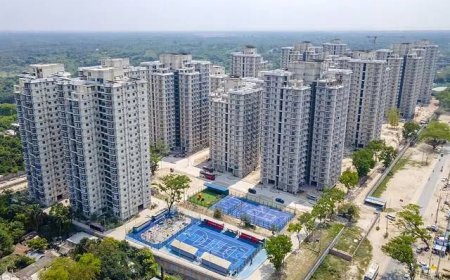 রূপপুরে বালিশকাণ্ডে চাকরি হারালেন প্রকৌশলী, আরেকজনকে অবনমিতকরণ