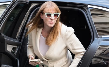 কর ফাঁকির অভিযোগে ব্রিটেনের উপপ্রধানমন্ত্রীর পদত্যাগ