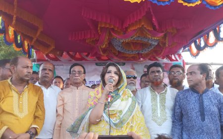 দেশে যত উন্নয়ন হয়েছে সব বিএনপির সময় হয়েছে : শামা ওবায়েদ