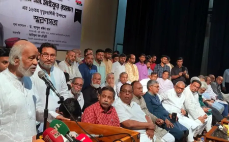 সাইফুর রহমান ট্যাক্স ব্যবস্থা সংস্কারের উদ্যোগ নিয়েছিলেন : ড. আব্দুল মঈন খান