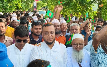 নিয়ামতপুরে বিএনপি'র ৪৭তম প্রতিষ্ঠা বার্ষিকী পালন