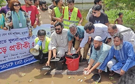 মহাসড়কে তৈরি হওয়া গর্তে মাছ ছেড়ে প্রতিবাদ