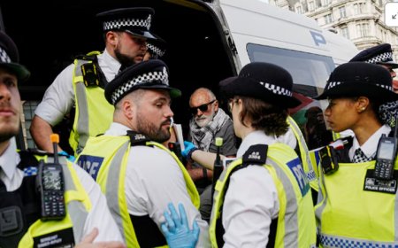 লন্ডনে ফিলিস্তিনপন্থি সংগঠনের বিক্ষোভ থেকে আটক ৮৯০