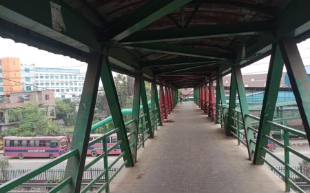 কালিয়াকৈর ফুটওভার ব্রিজে ডাকাত আতঙ্ক, লাইটিং ব্যবস্থার দাবি পথচারীদের