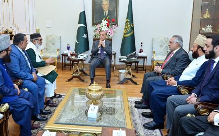 বাংলাদেশ-পাকিস্তান সম্পর্ক আরও শক্তিশালী হওয়া উচিত : শেহবাজ শরীফ