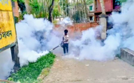 পুঠিয়া পৌরসভার উদ্যোগে সপ্তাহব্যাপী মশক নিধন অভিযান শুরু