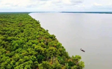 সুন্দরবনে ঘুরতে এসে সমুদ্রে গোসলে নেমে নিখোঁজ পর্যটক