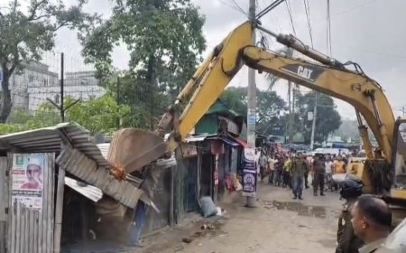 কালিয়াকৈরে বন বিভাগের উচ্ছেদ অভিযান