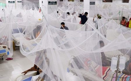 ডেঙ্গুতে আরও ৫ জনের মৃত্যু, হাসপাতালে ৬৩৬