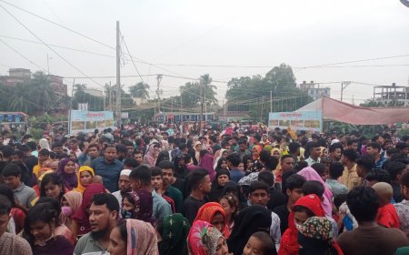 কালিয়াকৈর বাণিজ্য মেলায় দর্শনার্থীদের উপচে পড়া ভিড়, কেনাবেচায় খুশি ক্রেতা-বিক্রেতারা