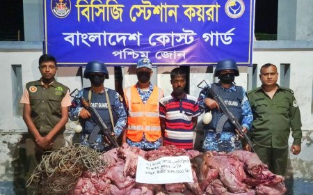 সুন্দরবনে বিপুল পরিমান হরিনের মাংসসহ শিকারী আটক